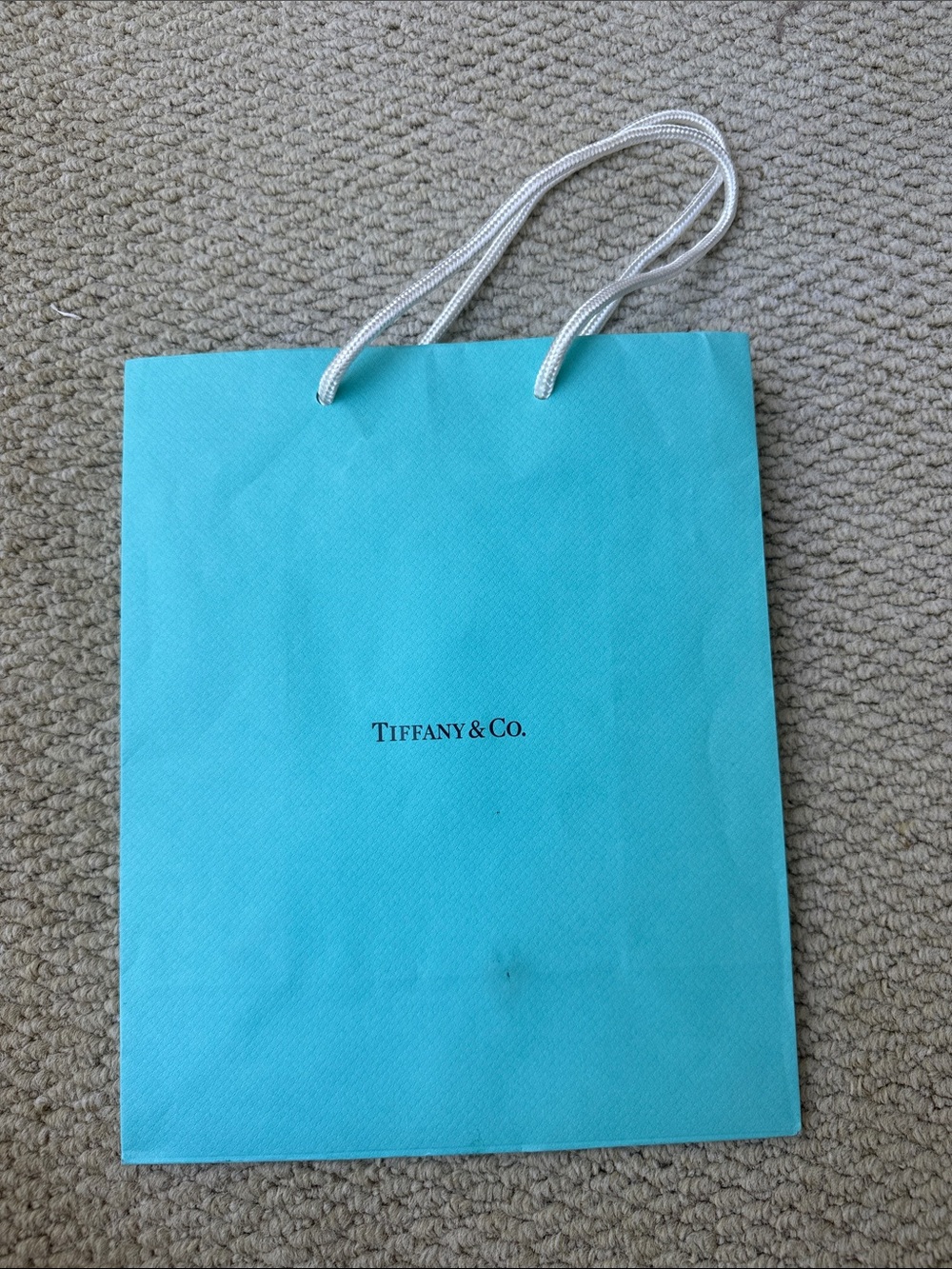 Tiffany & Co. Robin's Egg Blue Rope-Handled Gift Bag